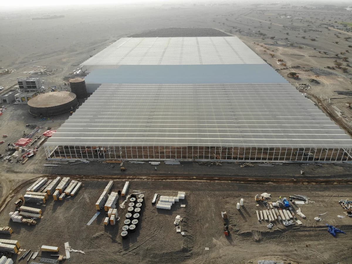 Project Management hero image