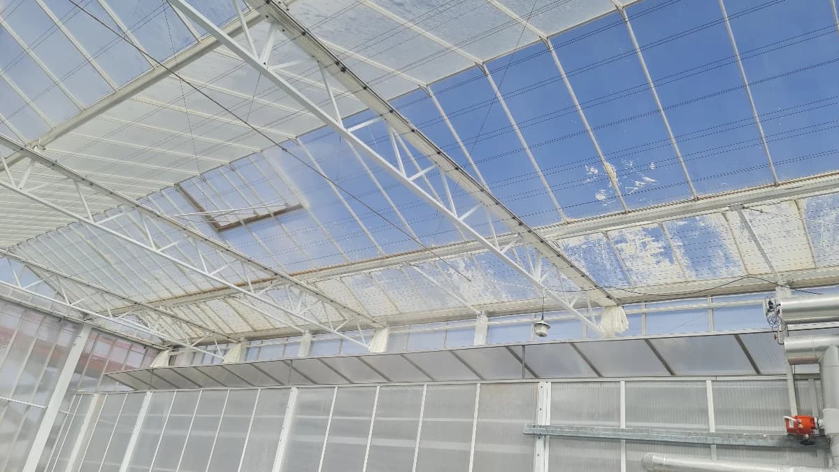 Greenhouse Renovation & Repair Services